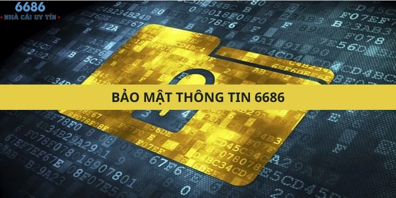 Quy định liên quan đến việc thông tin bảo mật tại 6686