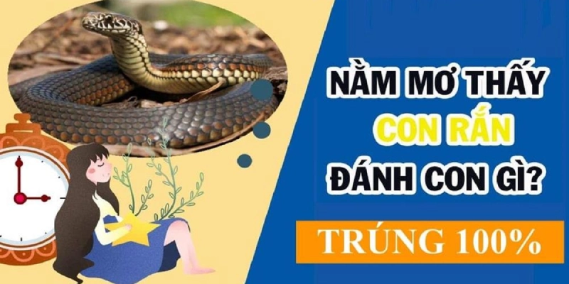 Thử vận may với số đề về “bé na”