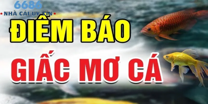 Nằm mơ thấy cá được hiểu như thế nào?