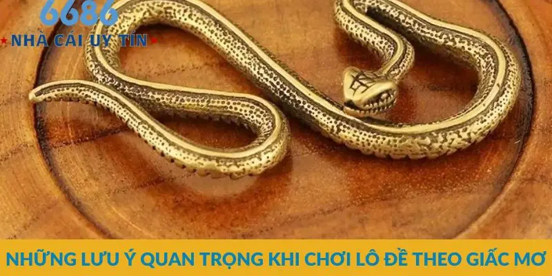 Những lưu ý quan trọng khi chơi lô đề theo giấc mơ